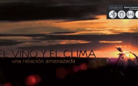 Cartell
