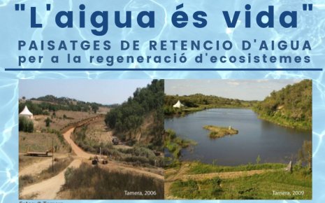 Cartell