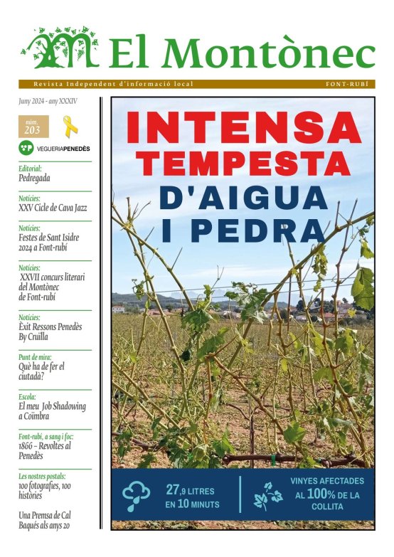 Revista 203 Juny 2024