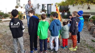 Cants dels Nicolaus i les Llúcies