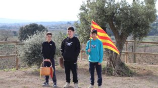 Cants dels Nicolaus i les Llúcies