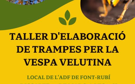 Cartell