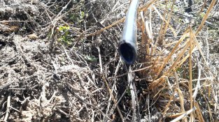 Un robatori massiu de coure deixa bona part de Font-rubí sense telèfon