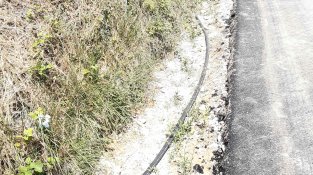 Un robatori massiu de coure deixa bona part de Font-rubí sense telèfon