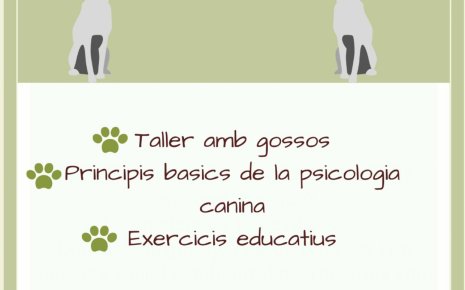 Cartell