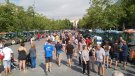 Els viticultors anuncien una aturada general el 5 de setembre per reclamar un millor preu del raïm.