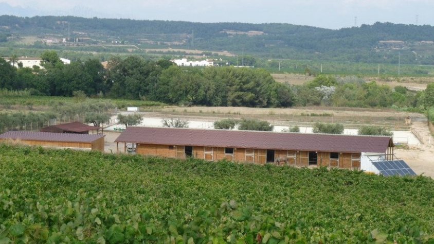 Centre d'equitació del Penedès a Font-rubí