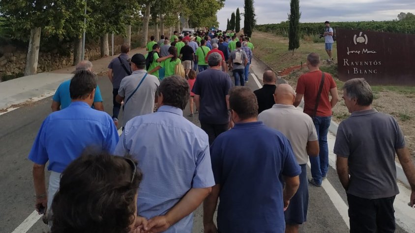Aturada general a les vinyes del Penedès