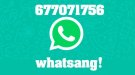 Whatsang.   Nou servei de Whatsapp del Banc de Sang