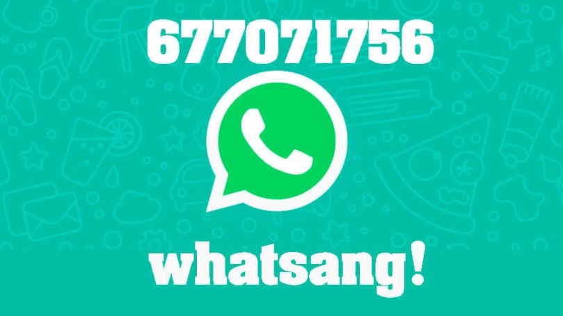Whatsang.   Nou servei de Whatsapp del Banc de Sang. Telèfon 677071756