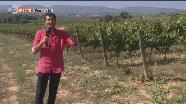 L'espai del temps de TV3 d'ahir el migdia es fa des de Font-rubí