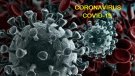 Les acciones preventives enfront del CORONAVIRUS, arriben també a Font-rubí.