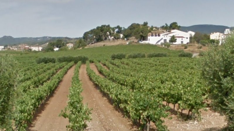 Mesures històriques per a la producció a la DO Cava