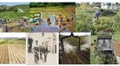 Les fotografies finalistes del concurs per Instagram Sant Isidre 2020