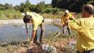Activitats de l’ADF de Font-rubí 