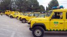 Campanya forestal