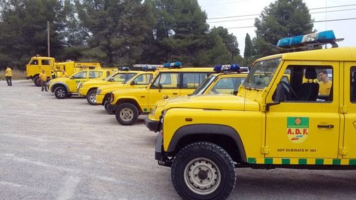 Campanya forestal
