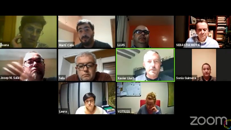 Sessió telemàtica del ple municipal extraordinari.