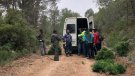 El veïnat de Font-rubí intenta frenar l’espoli del llentiscle al bosc