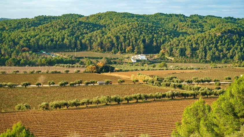 Paisatge agrari i forestal característic a la província de Barcelona Foto: BCN Smart Rural
