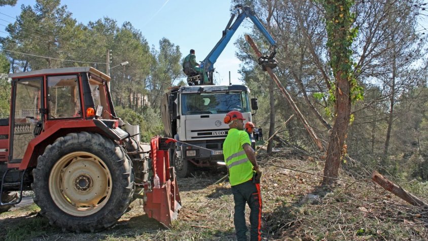 Actuacions de prevenció d’incendis forestals    Foto: Diputació de Barcelona