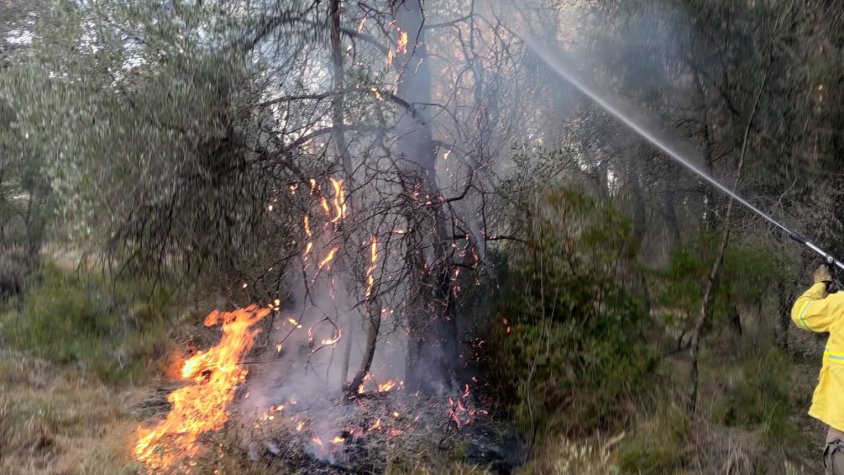 Ahir els Mossos d'Esquadra van detenir a Font-rubí un jove per provocar sis incendis a la comarca