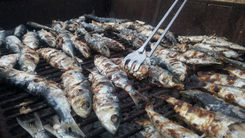 Sardinada, "arxiu"