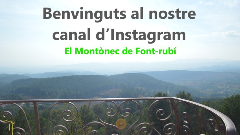 Ara també estem a Instagram