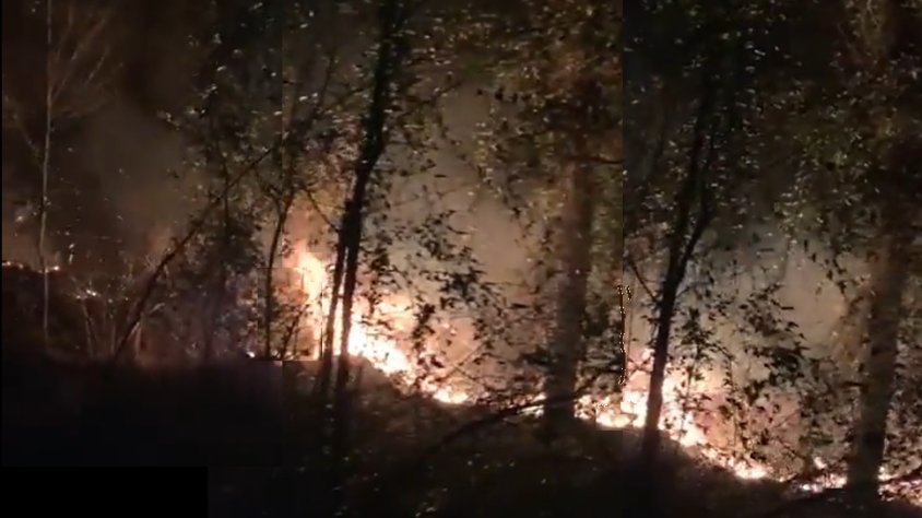 Incendi forestal a tocar del nucli de l'Avellà a Font-rubí
