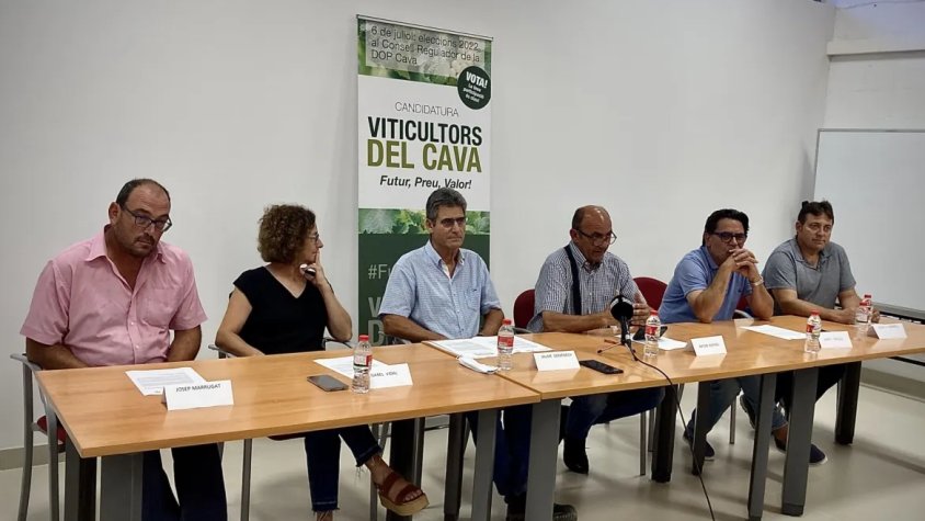 Roda de premsa de "Viticultors del Cava"