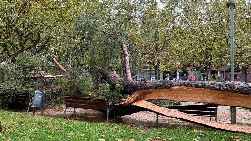 Efectes de l'esclafit a Vilafranca del Penedès