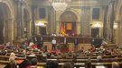 La pagesia fa sentir la seva veu al Parlament.