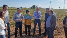 El conseller Mascort visita les vinyes de Font-rubí afectades per la pedregada de dissabte