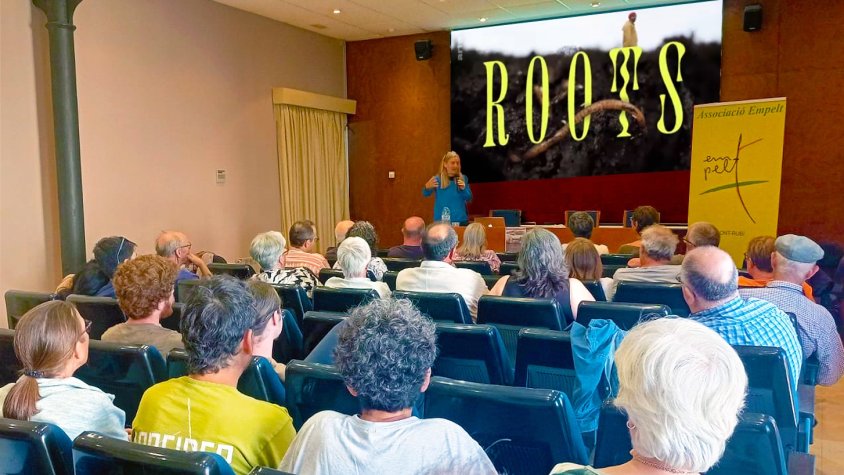 Agricultura regenerativa: cap a un sòl més fèrtil i sostenible