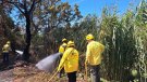 Petit incendi a l’Alzinar