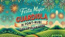 Resum del programa de la Festa Major