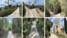 Projecte per a l'asfaltat del camí de Cal Cerdà