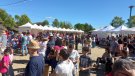 Èxit de participació a la Fira Vinòleum 2024