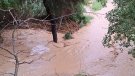 Pluja intensa i sobtada sobre Font-rubí