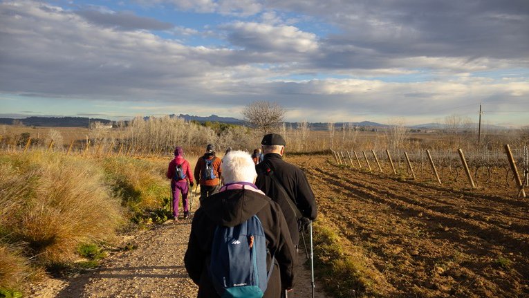 Pla d’envelliment km 0 de l’Alt Penedès