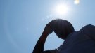 Primera onada de calor de l’estiu amb temperatures extremes