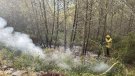 Intervenció ràpida en un petit incendi a Clivelleres
