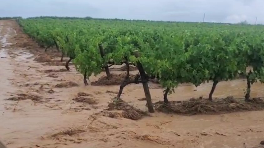 Un aiguat històric colpeja l’Alt Penedès