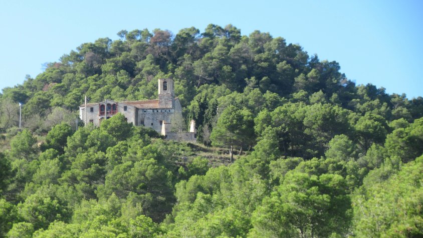 La zona afectada pel projecte està dins de l'ambit de l'àguila cuabarrada i possibles restes arqueològiques.