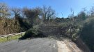 Fortes ventades sacsegen Font-rubí i l’Alt Penedès amb ratxes de fins a 103 km/h