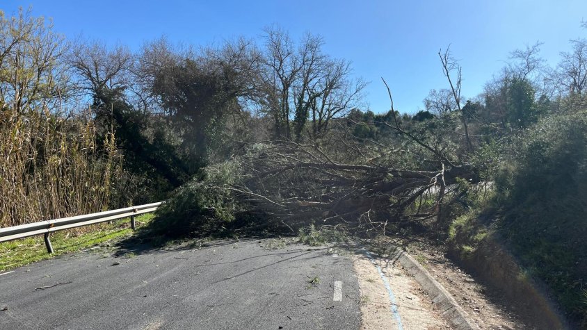 Fortes ventades sacsegen Font-rubí i l’Alt Penedès amb ratxes de fins a 103 km/h